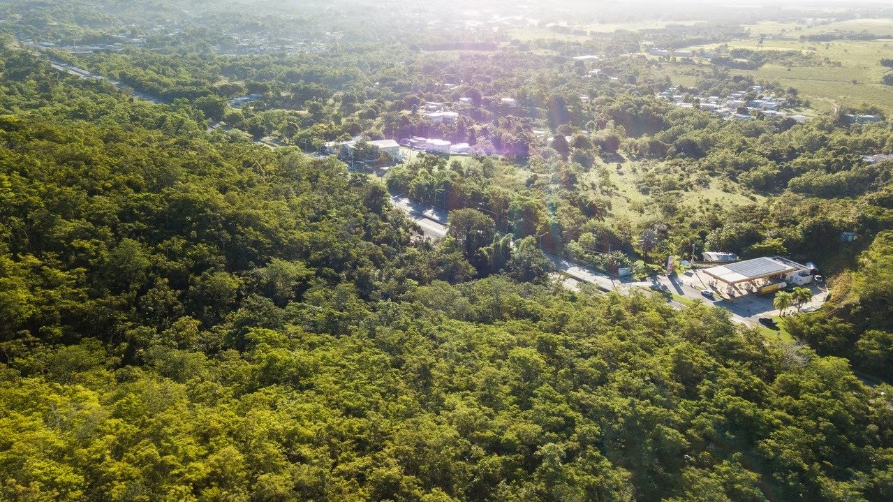 imgi_32_001240_a89c0615a59f4b64aa90f09d4df11a41~mv2