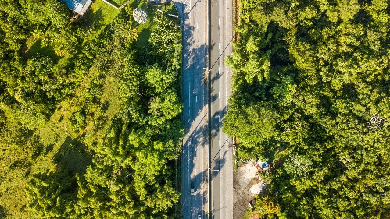 imgi_37_001240_1dd81039c35e491c8b54bf5aba4fca24~mv2