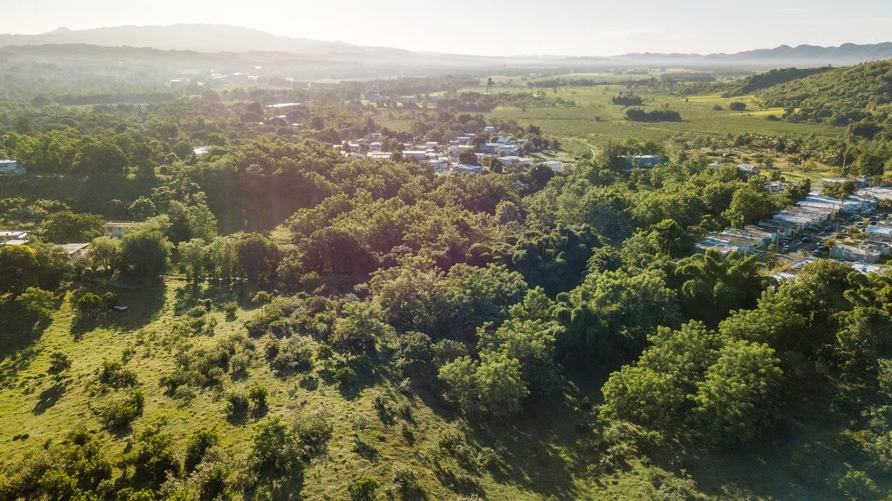 imgi_38_001240_7924ab9e876f4f6c844ee65fe03bf710~mv2