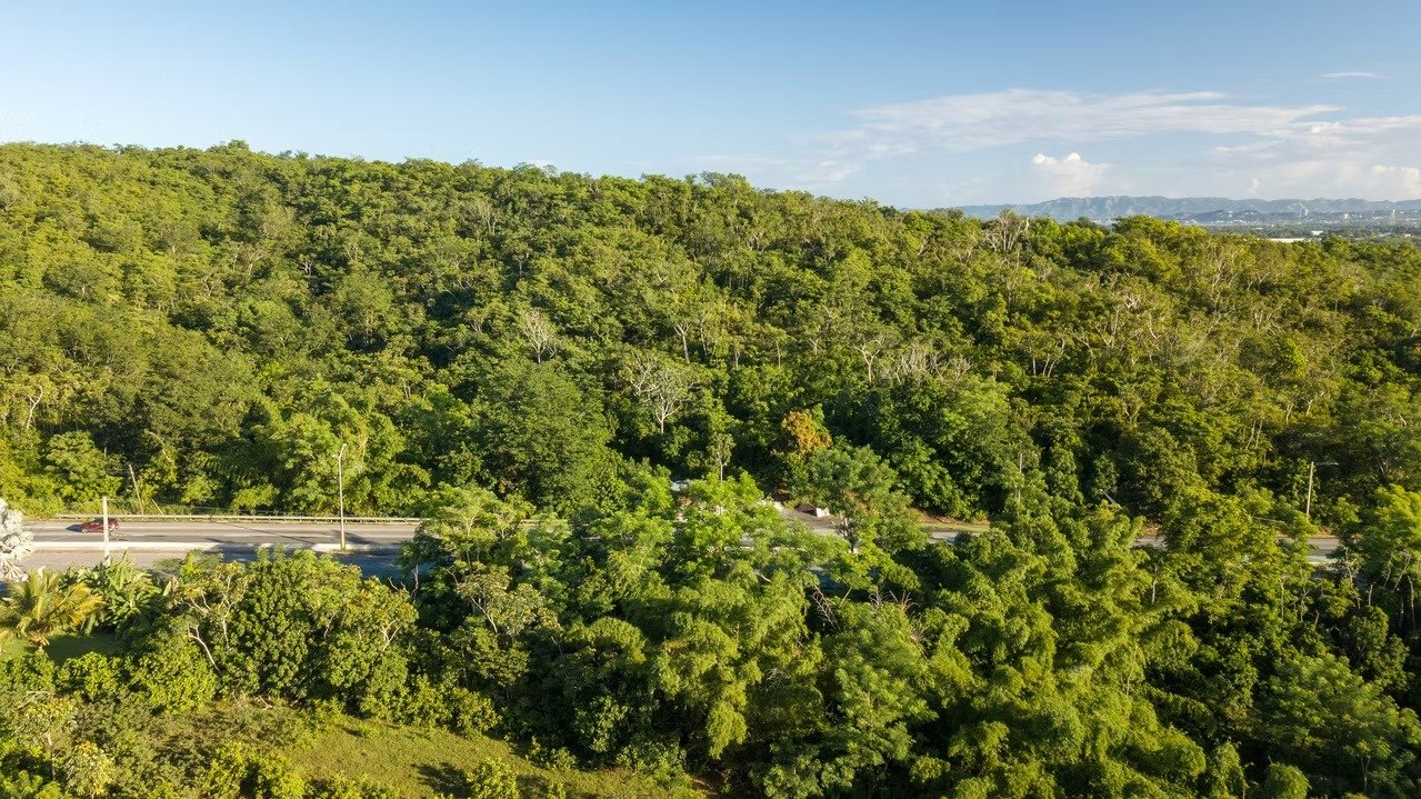 imgi_39_001240_fb6e0ff899114610be4539d9f10307b5~mv2