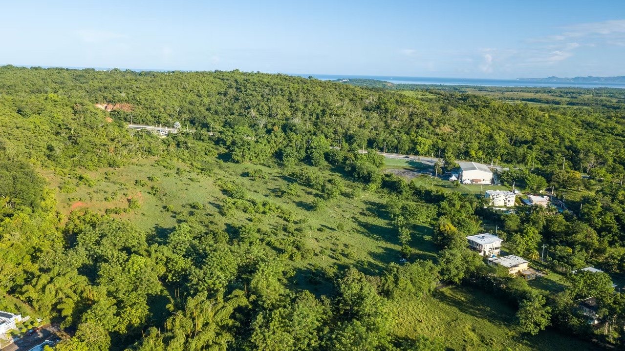 imgi_40_001240_9c7e350fed0a4c9b97787709fc1cf5c8~mv2